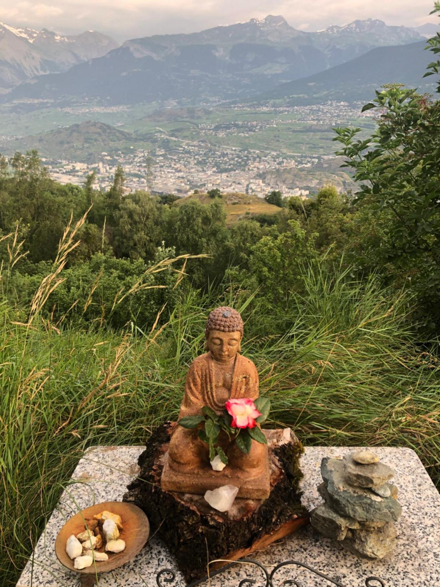 Domaine Bellevie Bnb Vex Dış mekan fotoğraf