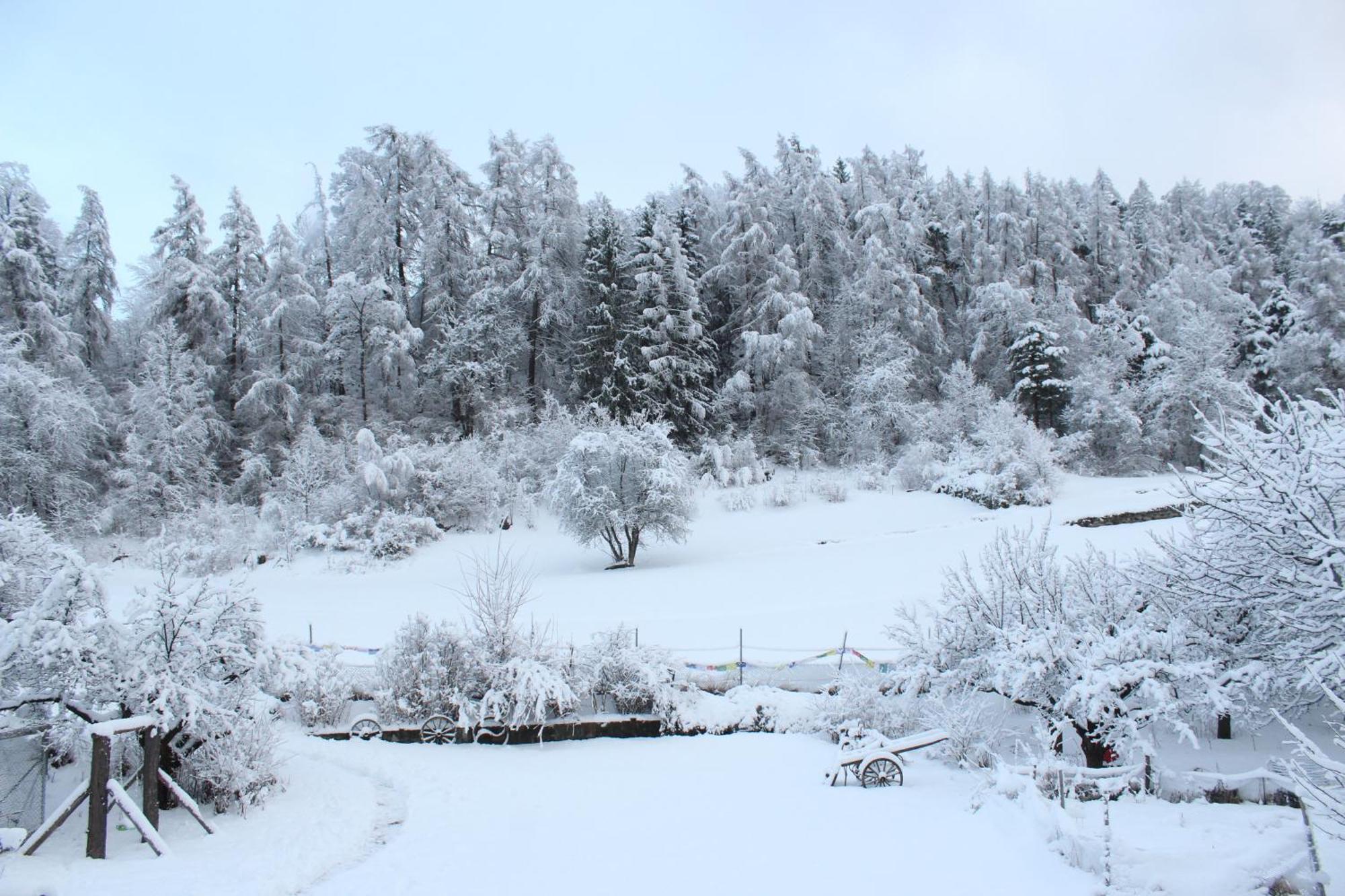 Domaine Bellevie Bnb Vex Dış mekan fotoğraf