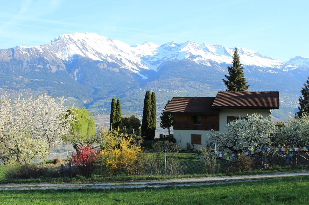Domaine Bellevie Bnb Vex Dış mekan fotoğraf