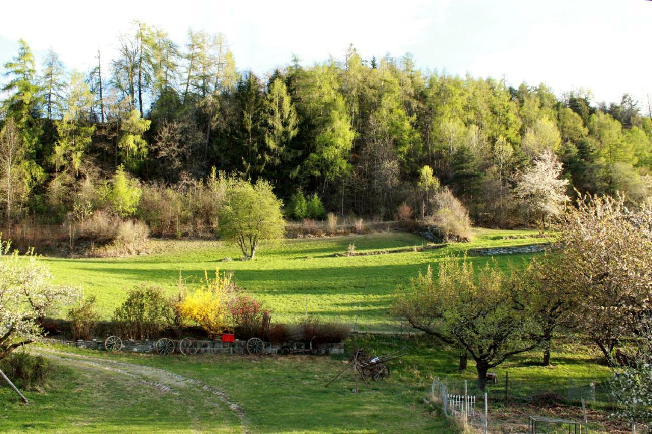 Domaine Bellevie Bnb Vex Dış mekan fotoğraf